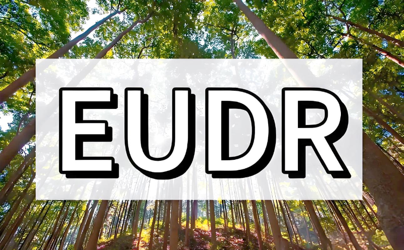 EUDR銅版紙不干膠